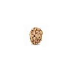 Authentic 2 Mukhi Rudraksha bead side view highlighting natural grooves and organic texture