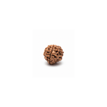 Original Nepal 3 Mukhi Rudraksha side view highlighting deep grooves, authentic three faces, and premium quality bead