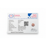 Lab certified 5 Mukhi Nepali Rudraksha with authenticity certificate card, original five mukhi bead from Nepal