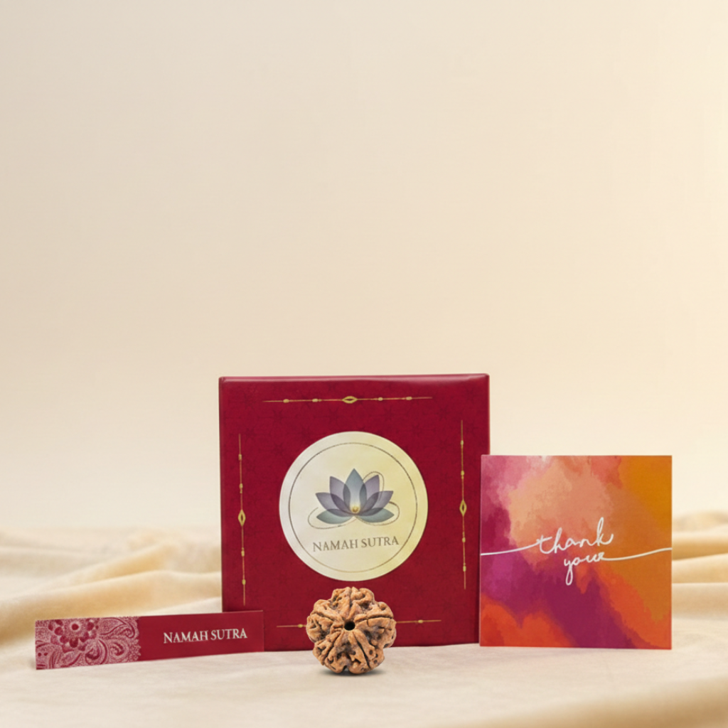 Premium 5 Mukhi Nepali Rudraksha with branded packaging box, authentic five-faced bead for daily wear and meditation