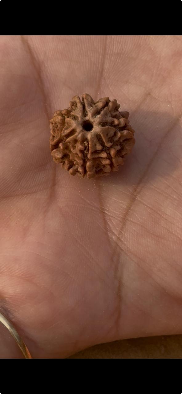 Customer testimonial image